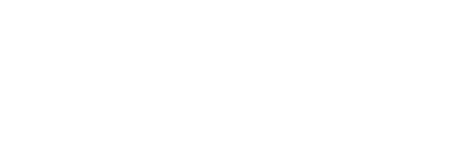 Scanntech